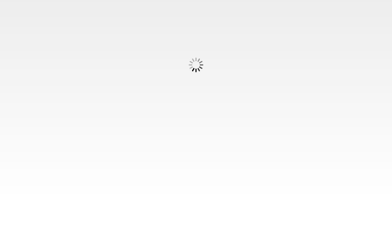 Burnet County Clerk property records Texas